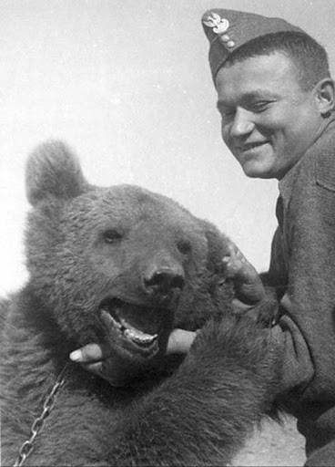 Miś Wojtek / Bear Wojtek, World War II (źródło: www.miswojteksopot.org)